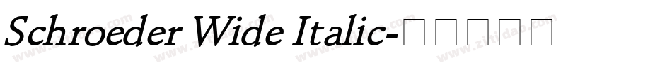 Schroeder Wide Italic字体转换
